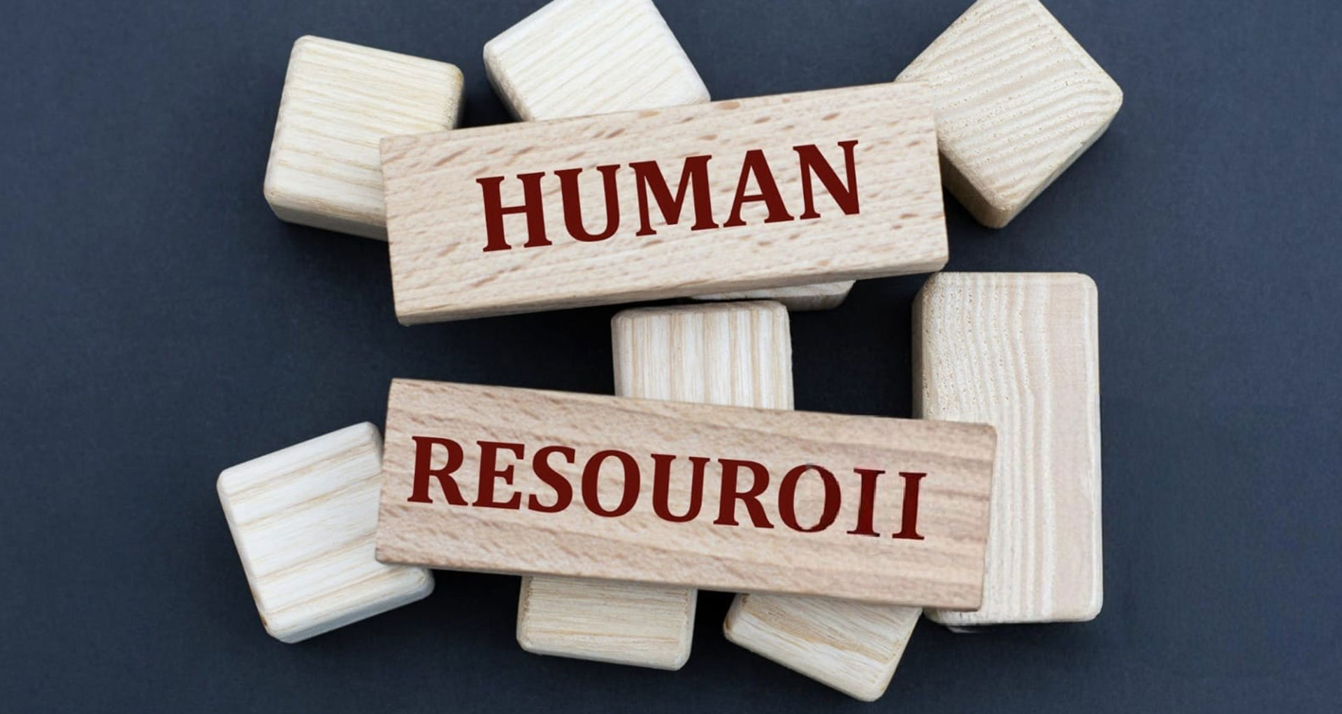 İnsan Kaynakları Danışmanlık Firmaları